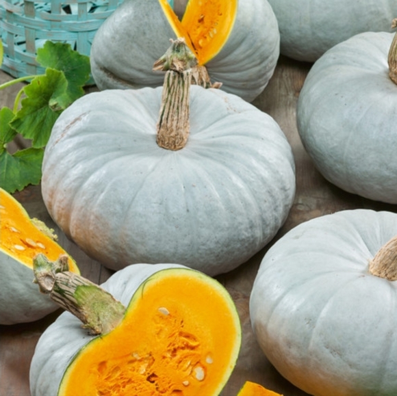 Boston International Decorative Tabletop Fabric Plush Pumpkin - Picture 9 of 10